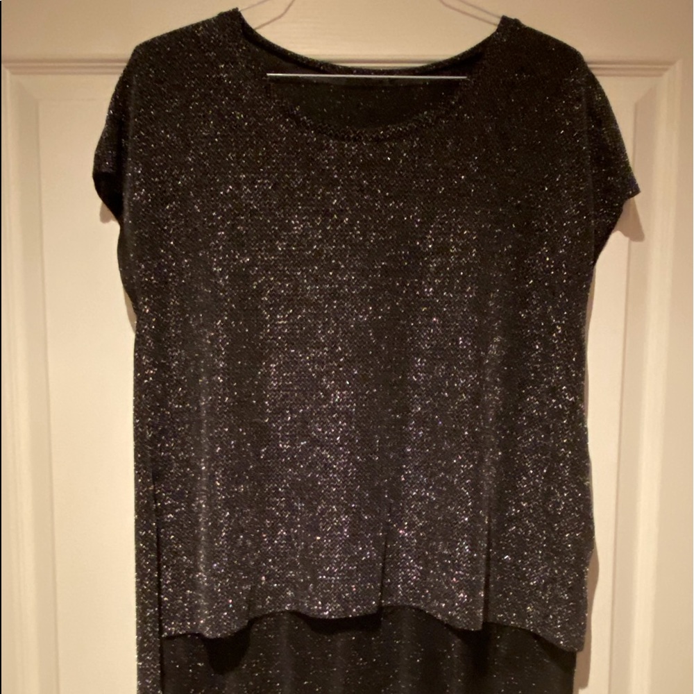 Zara sparkly dress top